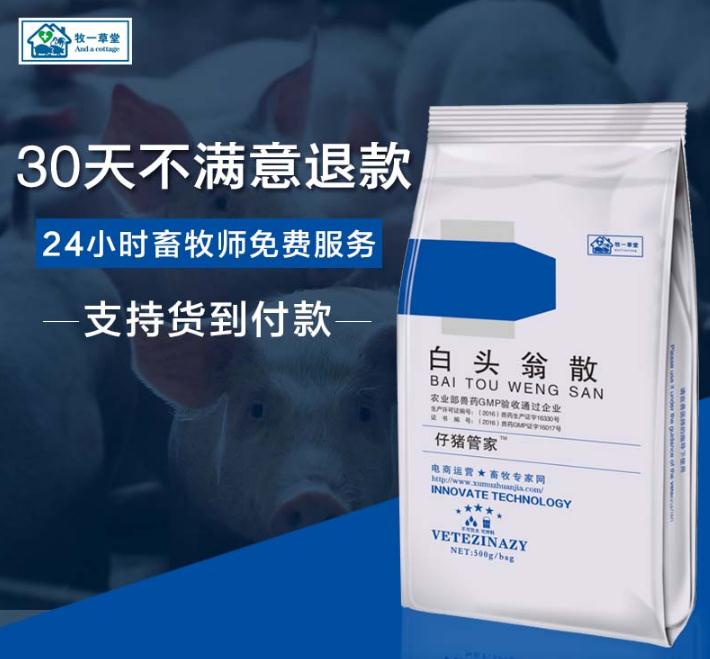 猪精神不振喜卧不吃食该用什么药,猪体温正常精神沉郁不吃食怎么办