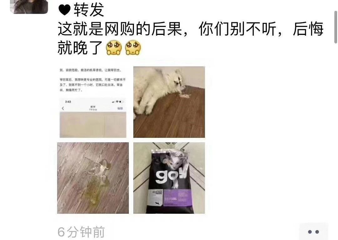 为什么不建议给猫吃廉价猫粮,猫咪现在还能吃的进口粮
