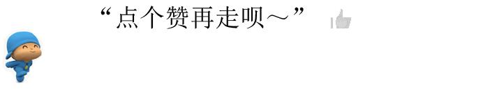 世界上最受欢迎的10种猫咪,最受欢迎的猫咪前5名