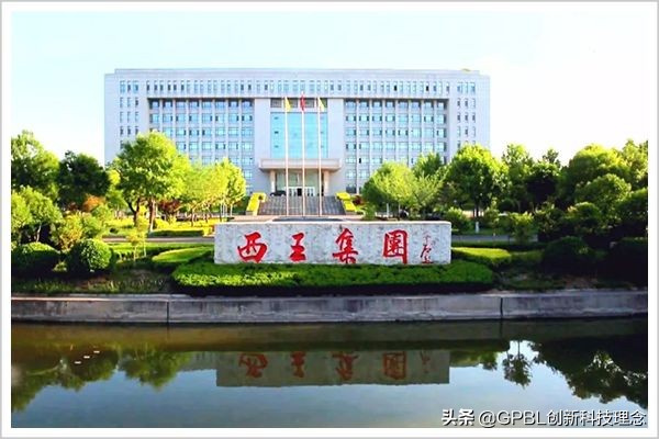 山东西王集团最新动态,山东西王集团经营现状