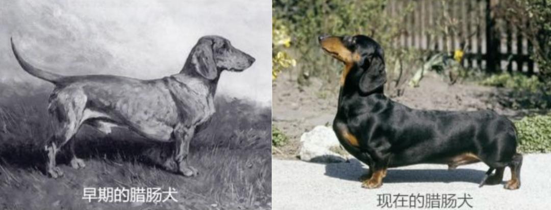 你有什么资格说爱我吗,你有什么资格说爱我完整版