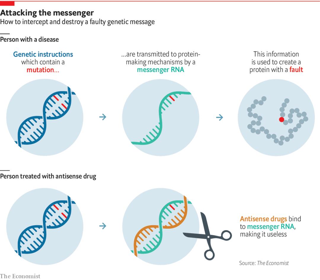 严重的先天性疾病有哪些,先天性疾病为什么成年才发现