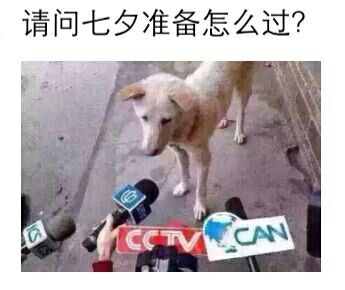 dnf囧图冷笑话20,dnf搞笑图2018