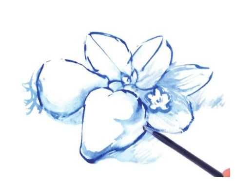 草莓怎么画最难的画法,教你画草莓国画