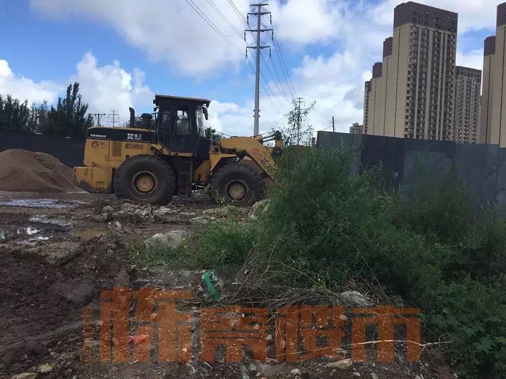 涓滃寳鑲叉墠涓侀婀栧皬瀛︿笌涓滃寳鑻辨墠,涓滃寳鑻辨墠瀛︽牎涓侀瀛﹀尯濂藉悧