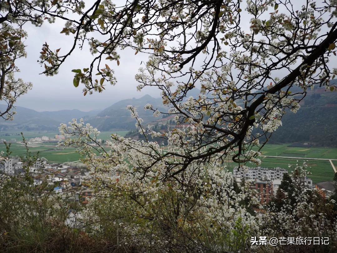 云南适合隐居的小山村,云南与世隔绝的花海