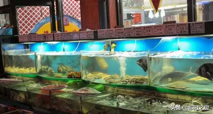 冬季连云港花果山旅游攻略,连云港花果山旅游攻略吃住