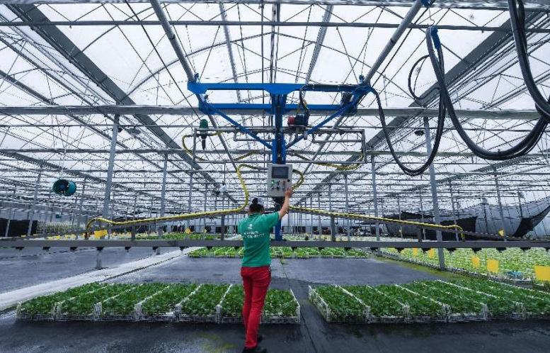 农民工返乡面临的新情况,未来几年农民工返乡潮到来