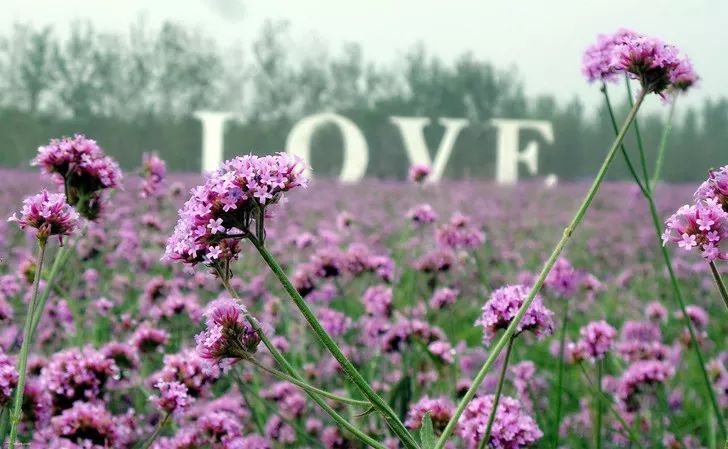 河北最美表白圣地,河北最值得表白的地方