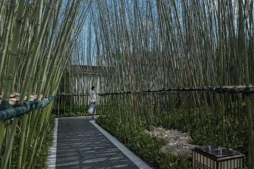 重庆蓝光芙蓉公馆精装房价,重庆蓝光芙蓉公馆附近规划图