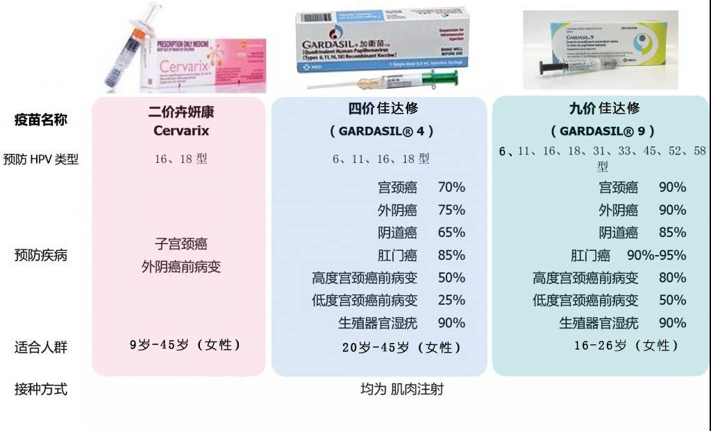 粤hpv疫苗免费接种新规,打hpv疫苗多久可以怀孕
