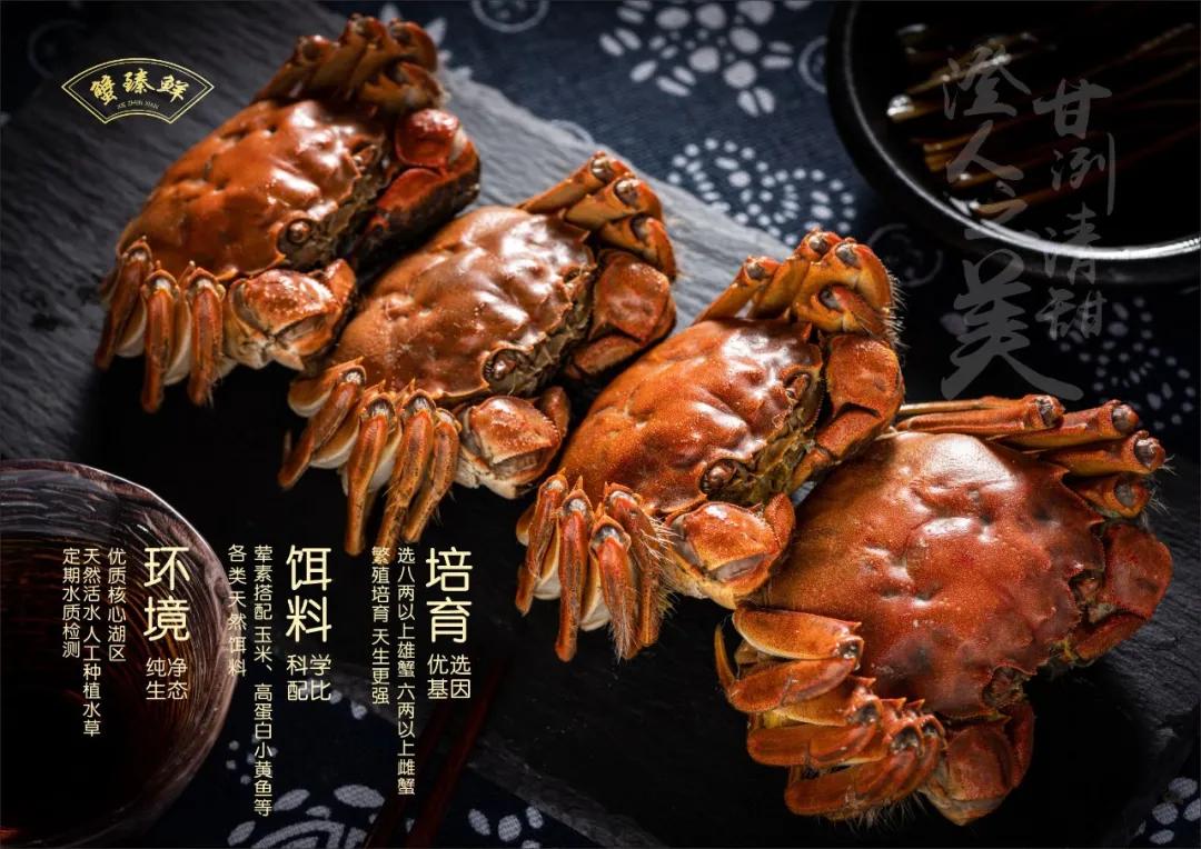 阳澄湖大闸蟹开湖活动,阳澄湖大闸蟹已进入最佳赏味期