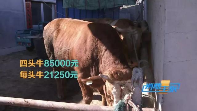 牛肉批发价最新价格,牛肉价格补贴最新消息