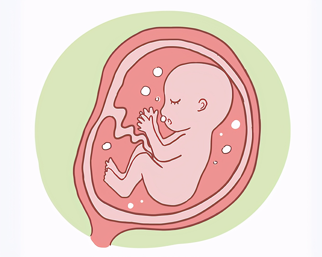 脐带血如何采集?如果孩子早产了