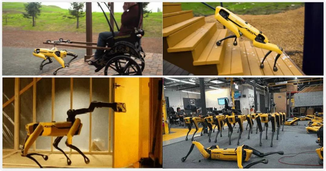 53万元的网红机器狗开售，居然还搞限购