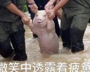 双11给娃囤的东西，买完就后悔辽！四位数的婴儿车成摆设……