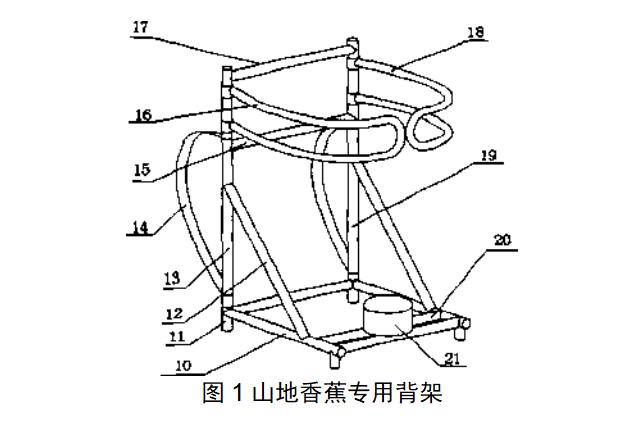 高产香蕉种植与管理技术,香蕉种植高产秘诀