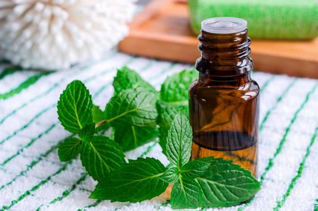 怀孕后孕吐口水怎么是苦的,孕期呕吐如何应对四妙招改善孕吐