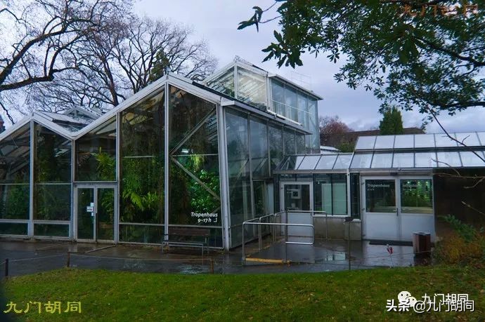 瑞士巴塞尔农村,瑞士超锡永vs巴塞尔