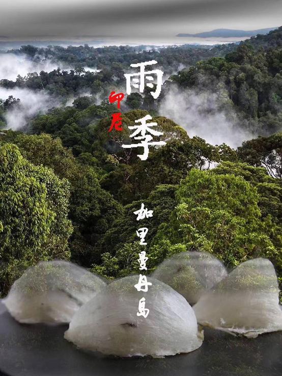 疏盏燕窝知识及鉴别,品牌干燕窝知识