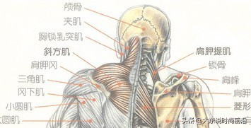 减脂健身计划一周表,减脂健身计划一周表图