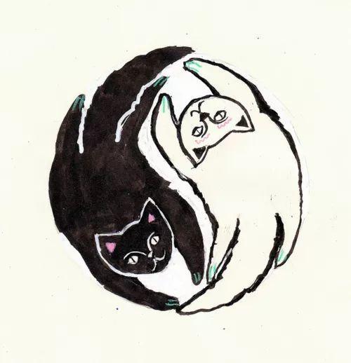 练习瑜伽之前必须要做的拉伸,瑜伽拉伸的过程中慢慢的放空自己