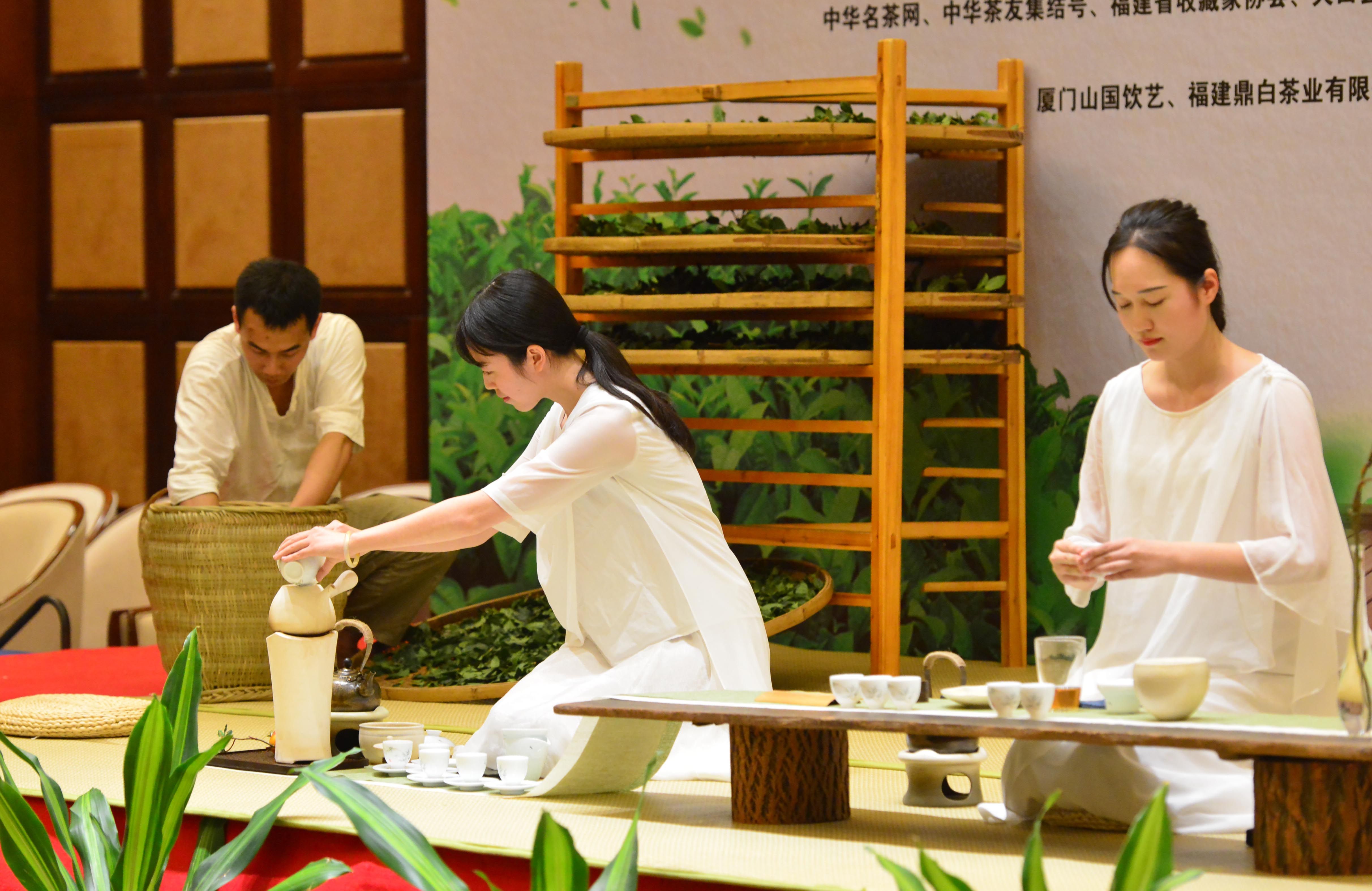 全国茶迷迎来利好消息!这里有顶级专家向您推荐高质量茶王……