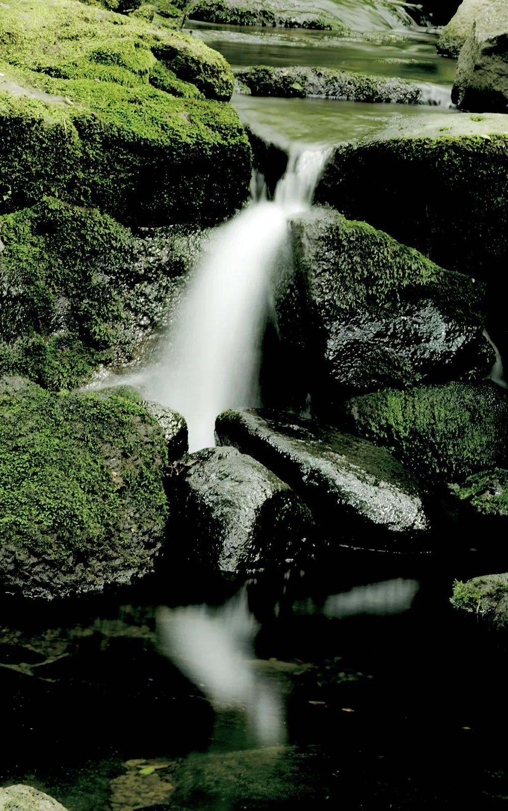 梅雨时节的铁山寺,这里藏着最美的风景