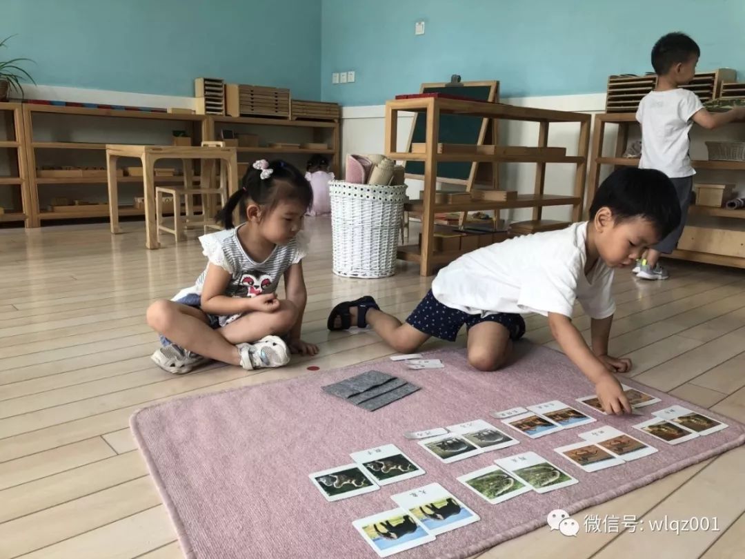 你知道吗？石家庄还藏着这样的幼儿园丨坤宁说房
