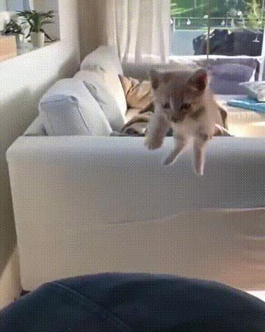 每日一笑998,每日一笑精彩评论