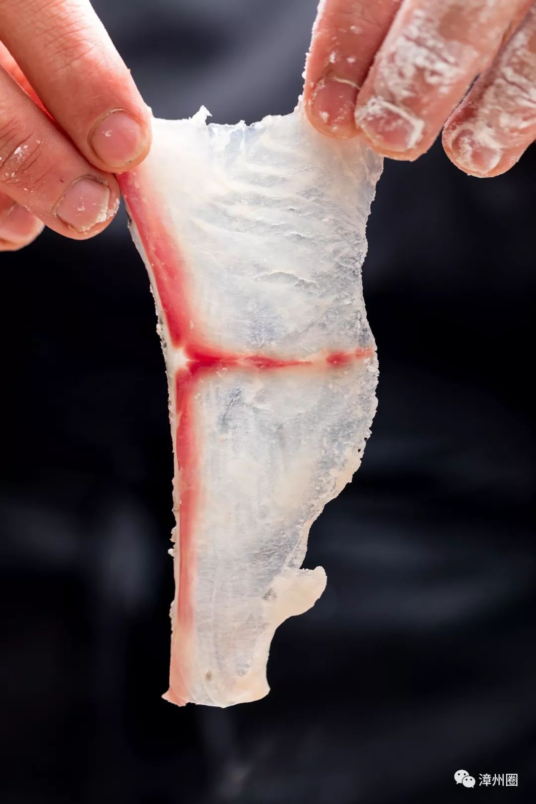 柠檬鱼总店,真味柠檬鱼新店