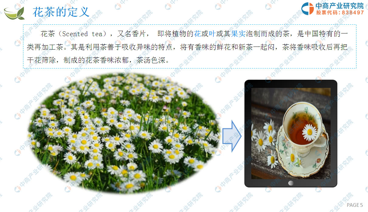 茶行业分析报告,茶行业2023年趋势