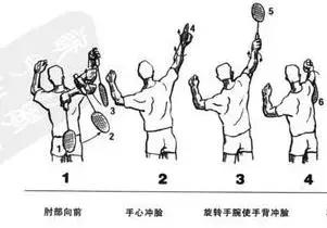 顶肘发力教学,羽毛球挥拍是顶肘还是抬肘