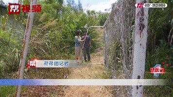 女童被学校足球架砸死,三岁女童在学校