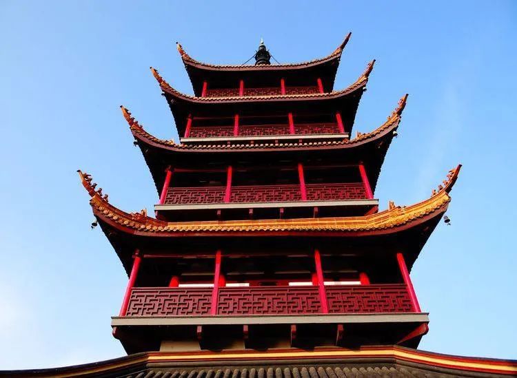 fc泰山队,山东鲁能泰山fc联赛名单