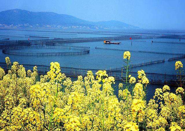 江苏苏州5a景区全名单,苏州市5a景区有哪几个