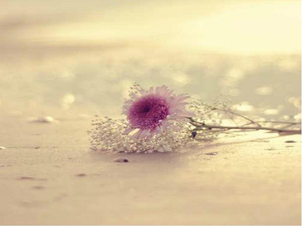 不要整天闷闷不乐放过自己,与其闷闷不乐不如积极过好每一天