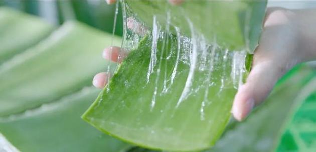 超好用的一款芦荟胶,排名第一的纯天然的芦荟胶