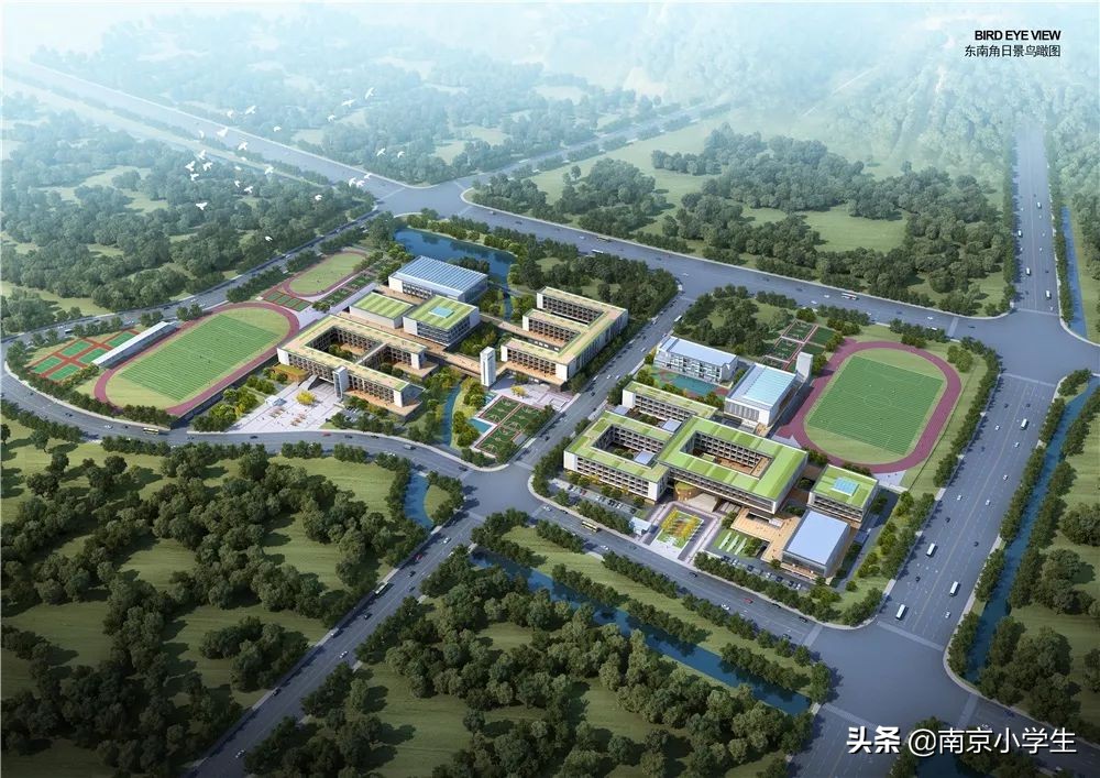 南京市各区教育排名,南京和上海教育资源对比