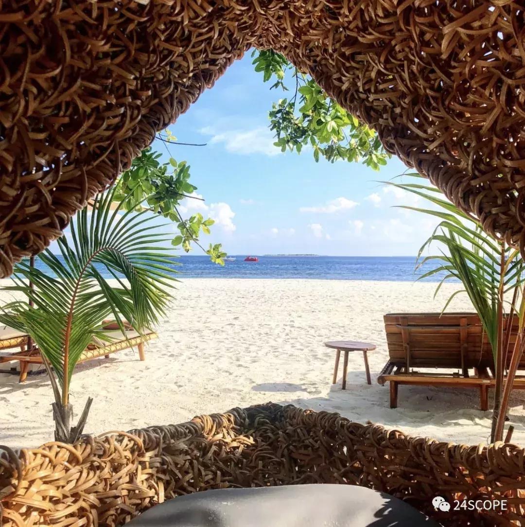 马尔代夫最美度假旅游岛酒店,马尔代夫娇丽酒店价格