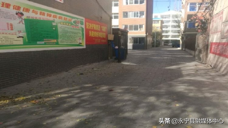 从“无人问”到“有人管”丰苑小区有了“贴心管家