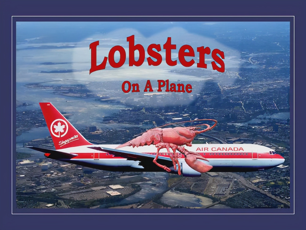 美洲螯龙虾怎么分解,美洲螯龙虾波士顿龙虾