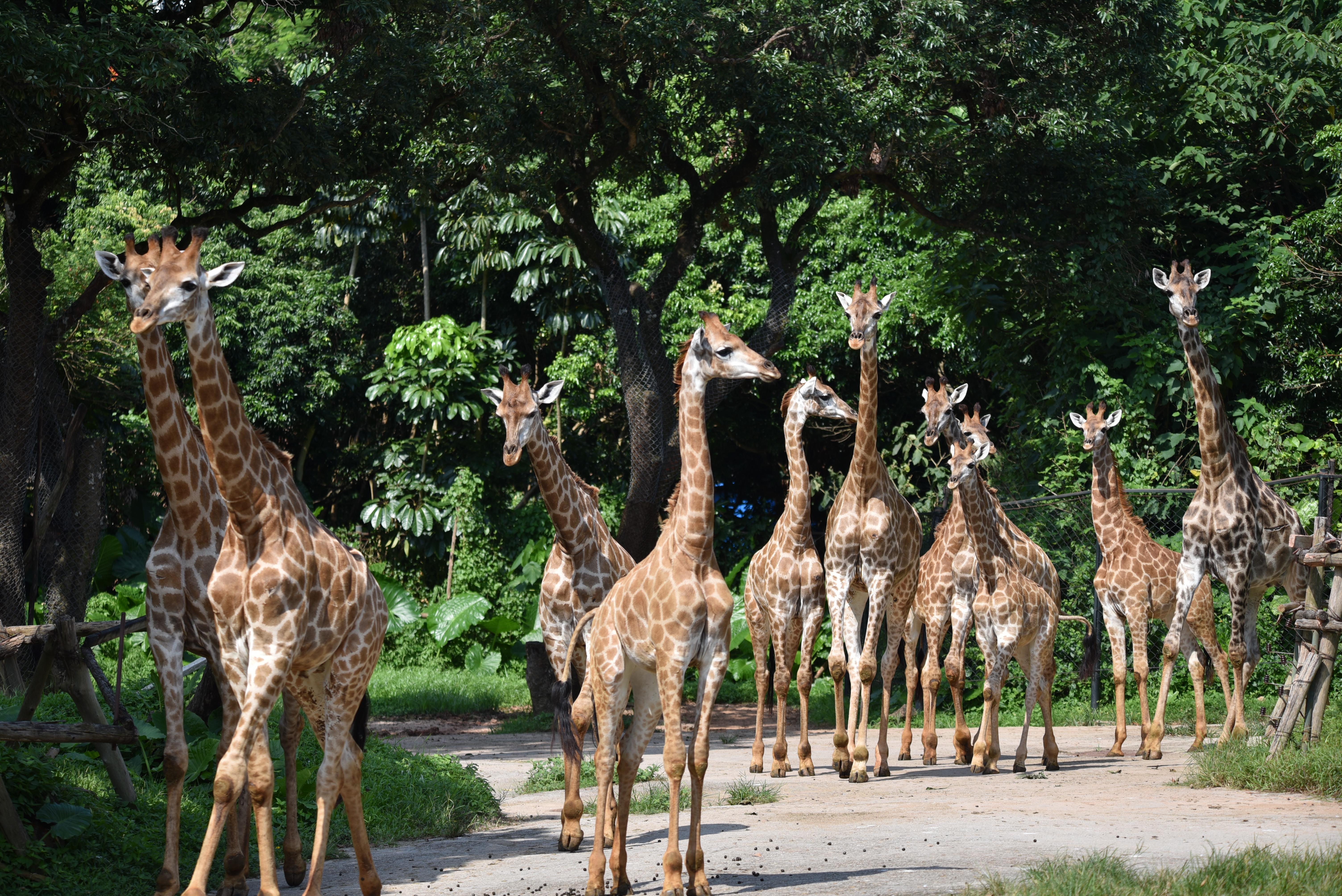 五一黄金周景区促销方案,五一旅游必看的10个项目
