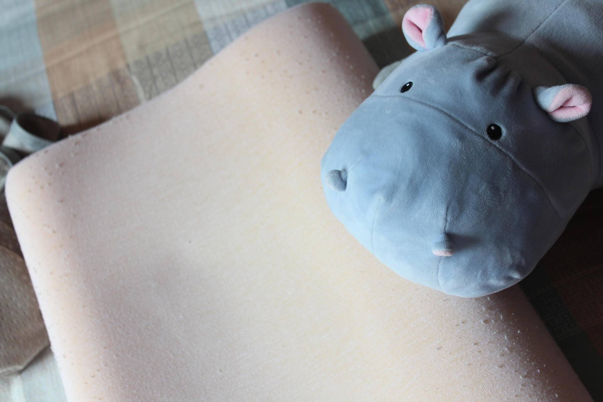 如何选择一款舒服的枕头,高枕无忧选枕头是越高越好吗