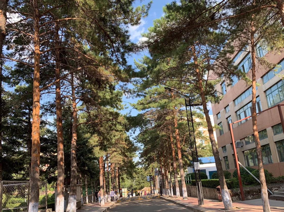 哈尔滨职业技术学院事件,哈尔滨职业技术学院学费多少钱