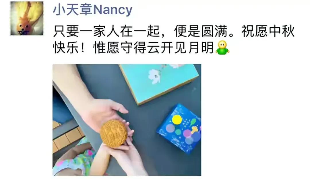 章泽天有3次人生重要选择,章泽天要对自己有正确的认知