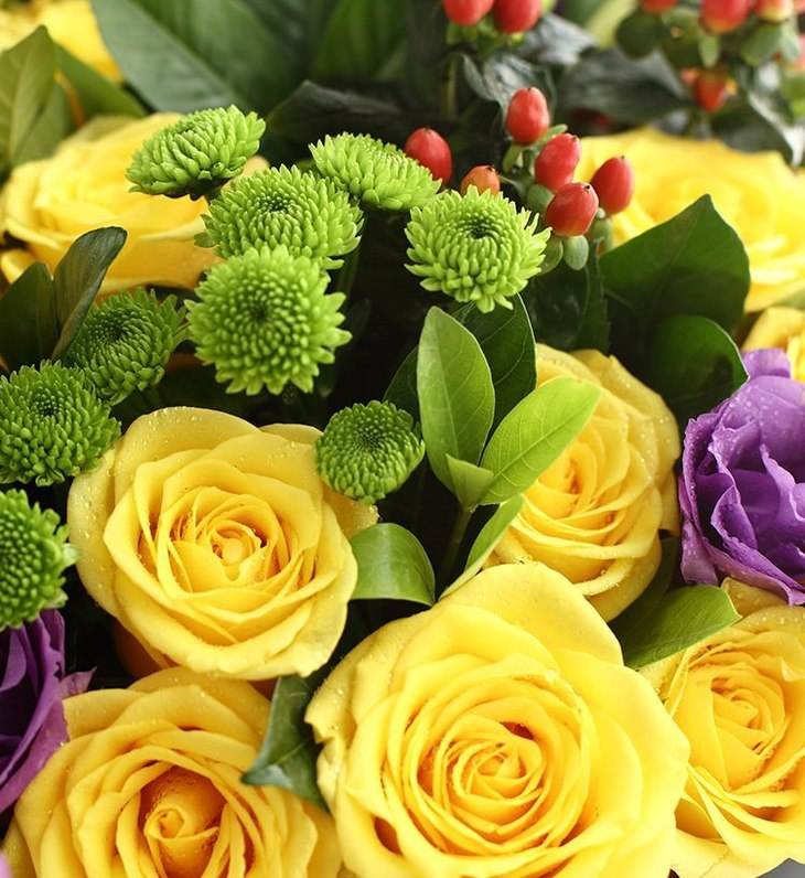 玫瑰美丽与爱情的象征,玫瑰象征爱情的颜色