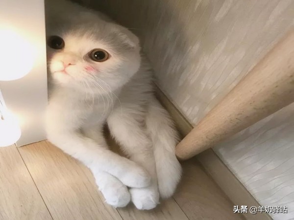 雅漾理肤泉哪个保湿补水效果好,药妆护肤品真的可靠吗