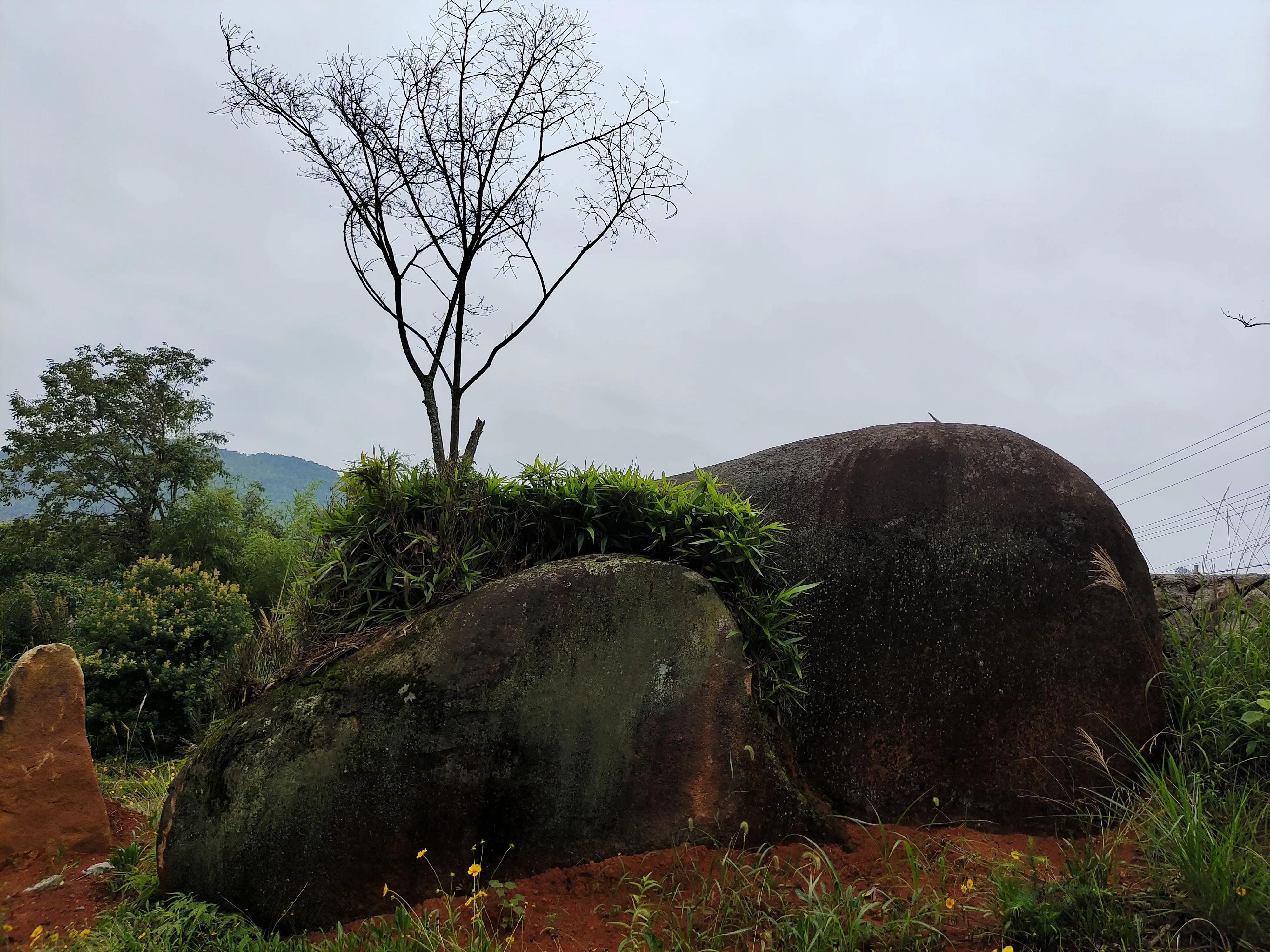 登上绝壁悬崖感受一览众山小,登上泰山之巅的感觉