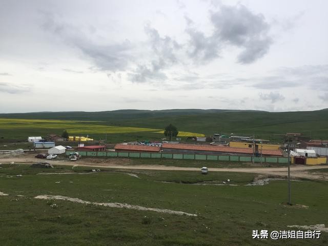 青海湖大环线7天自驾游攻略,6月青海大环线旅游攻略